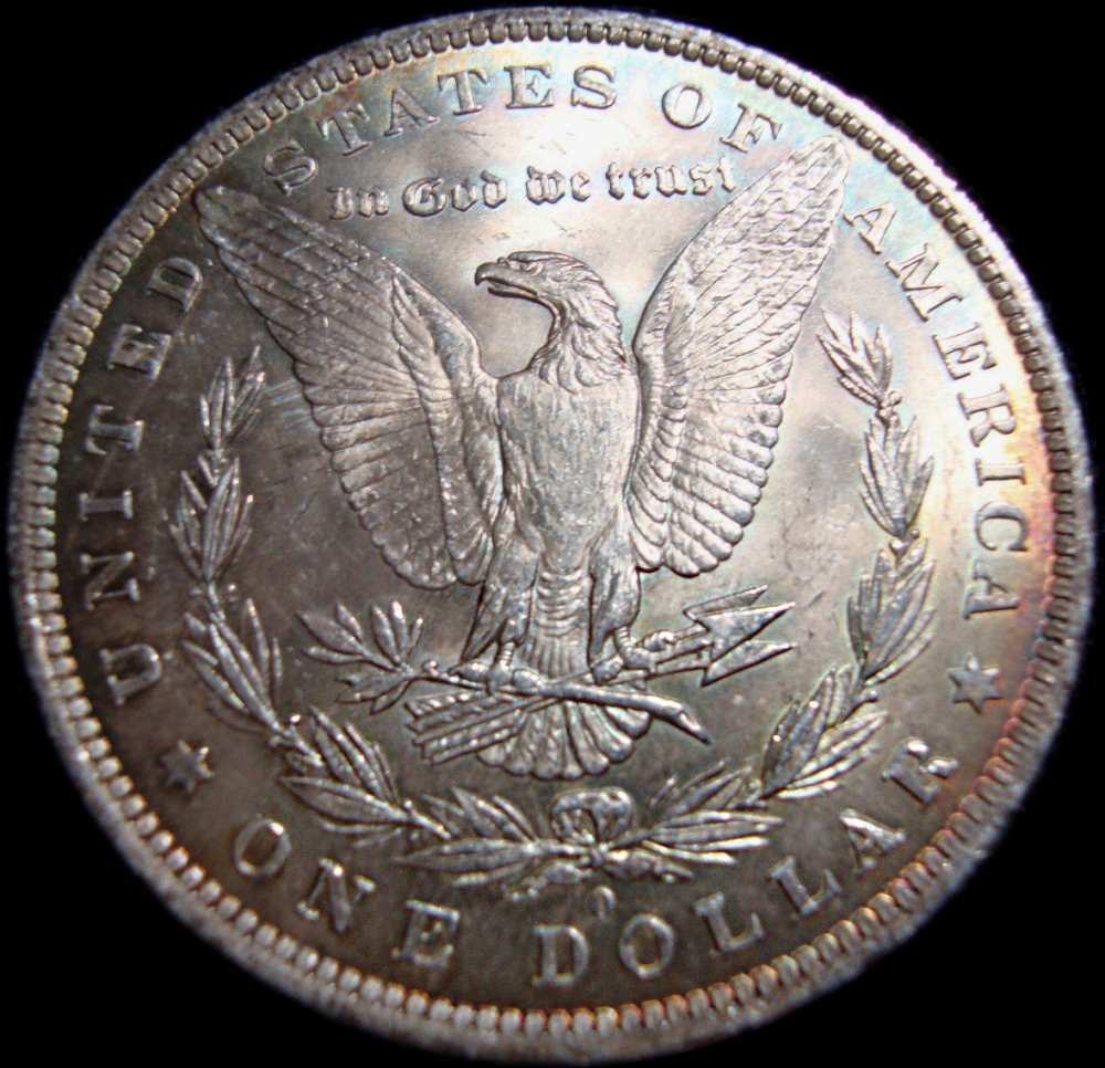 Grading-1884-O-Morgan
